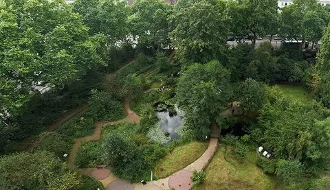 Wildlife garden
