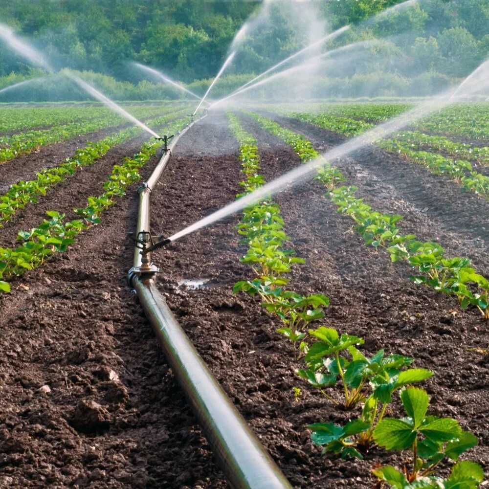 Гидротехническая мелиорация. Valmont оросительные системы. Капельное орошение кукурузы. Капельное орошение хлопчатника. Тамшылап суару кезінде үнемделетін су көлемі.