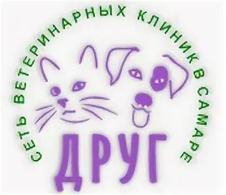 Ёжик ветклиника королев. Логотип ветеринарной клиники. Ветклиника дружба королев. Ветклиника ресепшн. Ветклиника стойка регистрации.
