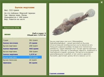 Вес википедия