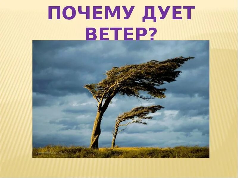 Ветер дует. Отчего дует ветер. Почему дует ветер картинки. Ветер дует жуть.