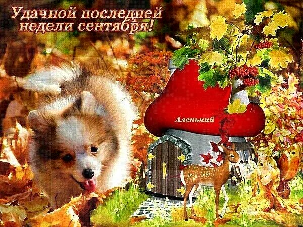 С последними осенними днями. Красивые осенние открытки. Хорошей последней недели осени!. С последним понедельником осени. Осеннее утро.