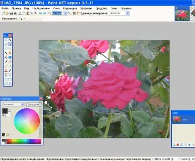 Paint вставить картинку