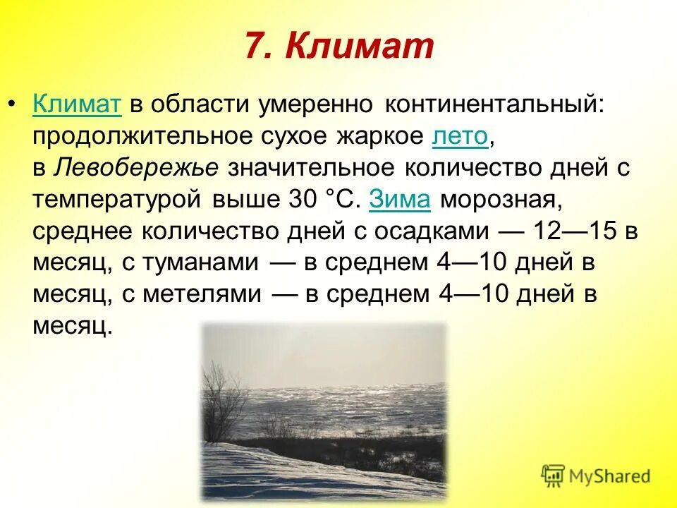 Умеренно теплый. Тёплое продолжительное лето и умеренно холодная мягкая зима. Климат леса. Умеренно-континентальный природа. Что значит умеренный.