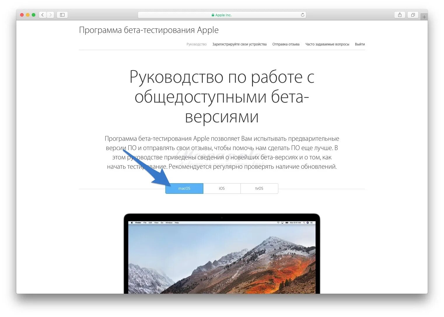 Мобильная система аврора. Программа бета тестирования. Программа тестирования apple настройки. Бета версии программ это. Как перейти из бета тестирования windows 11 в общедоступную.
