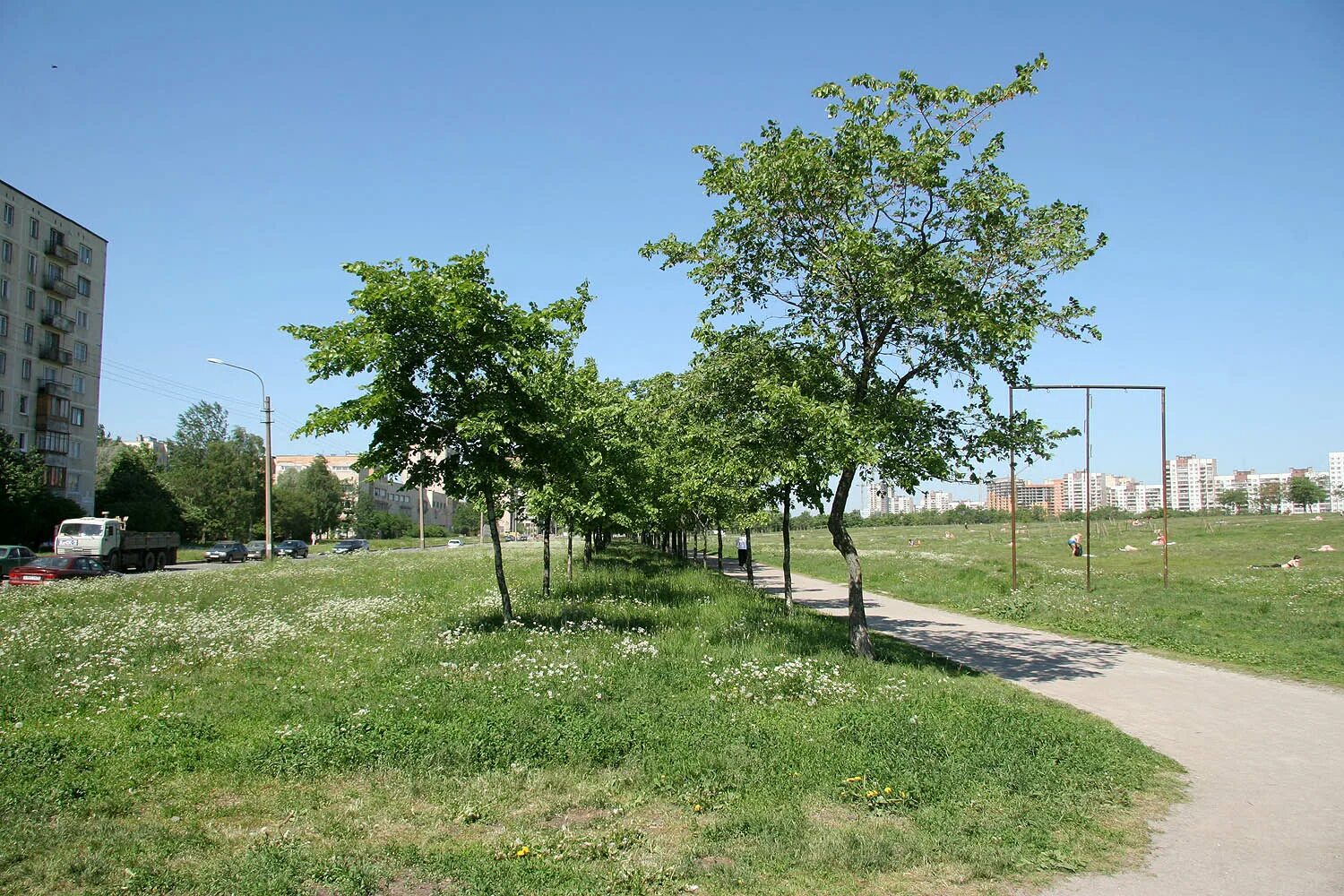 новый сквер в федоровском тосненского района. дунайская федоровский сквер. парк героев пожарных купчино. купчино федоровское. дунайская федоровский сквер.