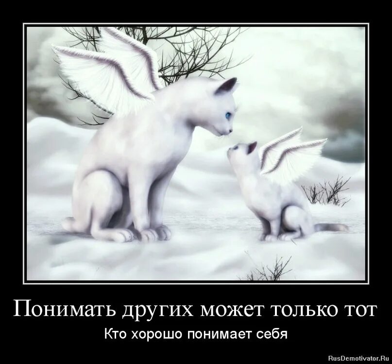 Что ты творишь сын