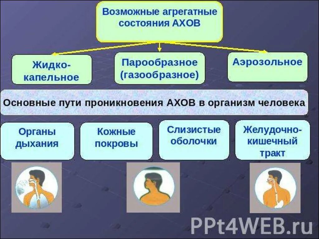 Возможные состояния человека. Агрегатные состояния АХОВ. Пути попадания АХОВ В организм. Пути проникновения АХОВ В организм. Пути проникновения АХОВ человека.