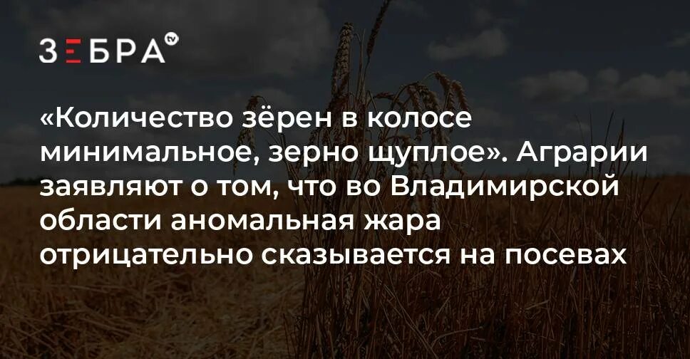 Зерном какое число. Зерном какое число