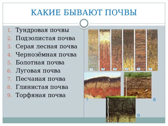 Типы почв их свойства различия в плодородии. Виды почв. какие бывают почвы. какие есть виды почв. какие виды почвы существуют.