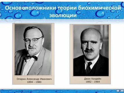Родоначальник теории биологического стресса