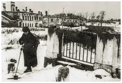 Новгород 1944 год