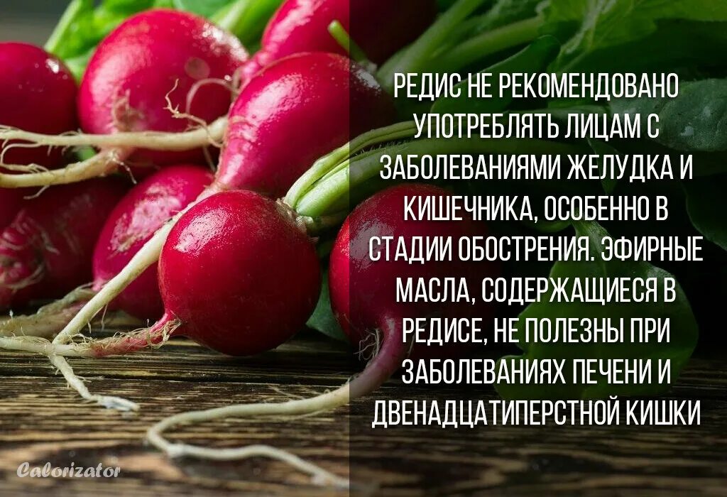 Полезные вещества в редиске. Чем полезен редис для организма. Что содержится в редиске полезного. Редиска при диабете