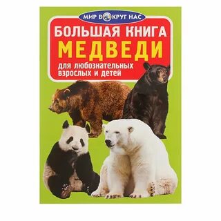 Мир большой литературы