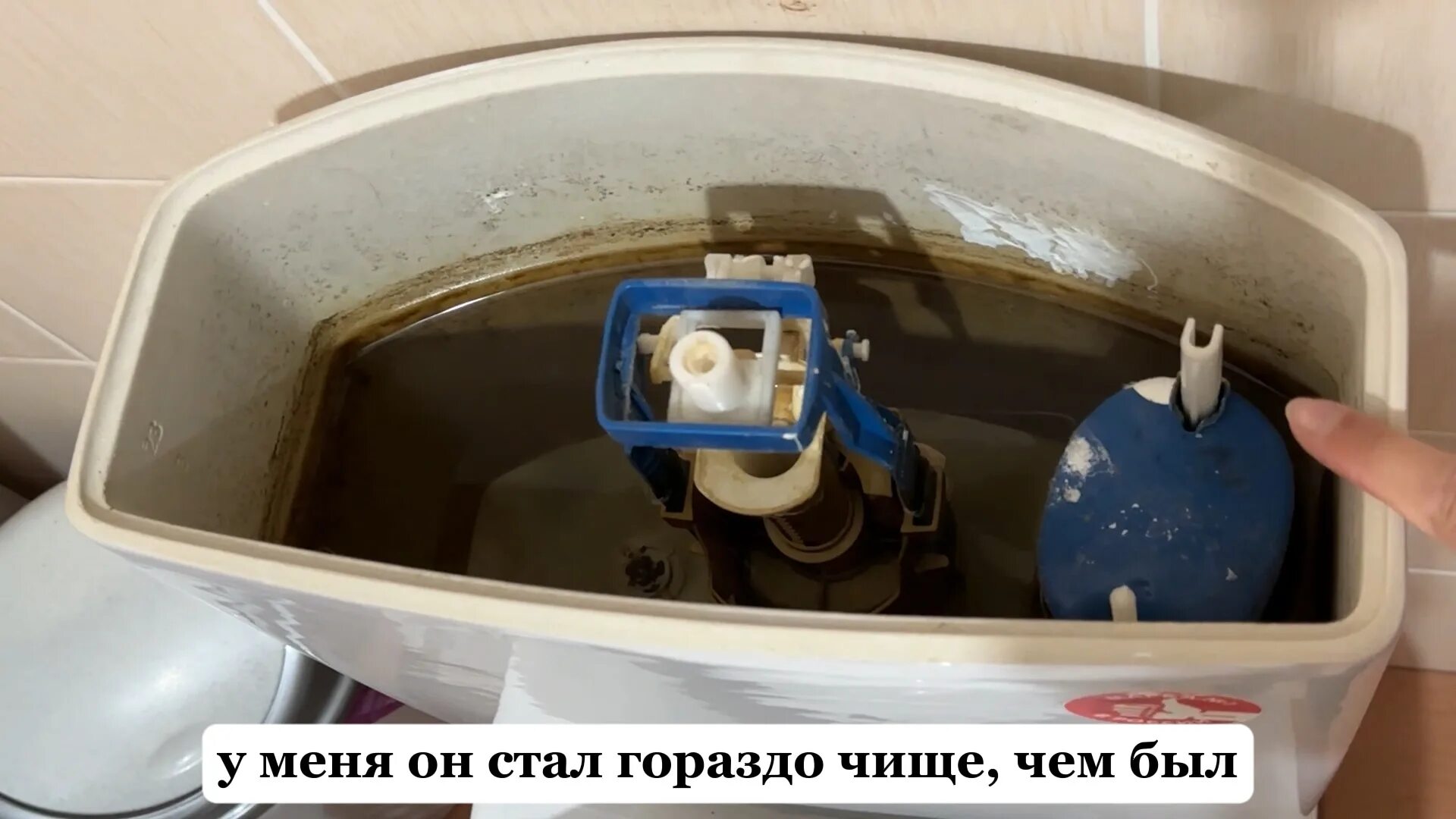 Что залить в бачок унитаза от ржавчины. 15в156сб030410сб унитаз вагонный. унитазный бачок внутри. смывной бачок внутри. сливной бачок старого образца.