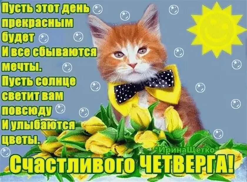 Открытки с четвергом. Открытки с добрым четвергом. Счастливого четверг четверга красивые. Доброе летнее утро четверга. Прекрасного четверга картинки.