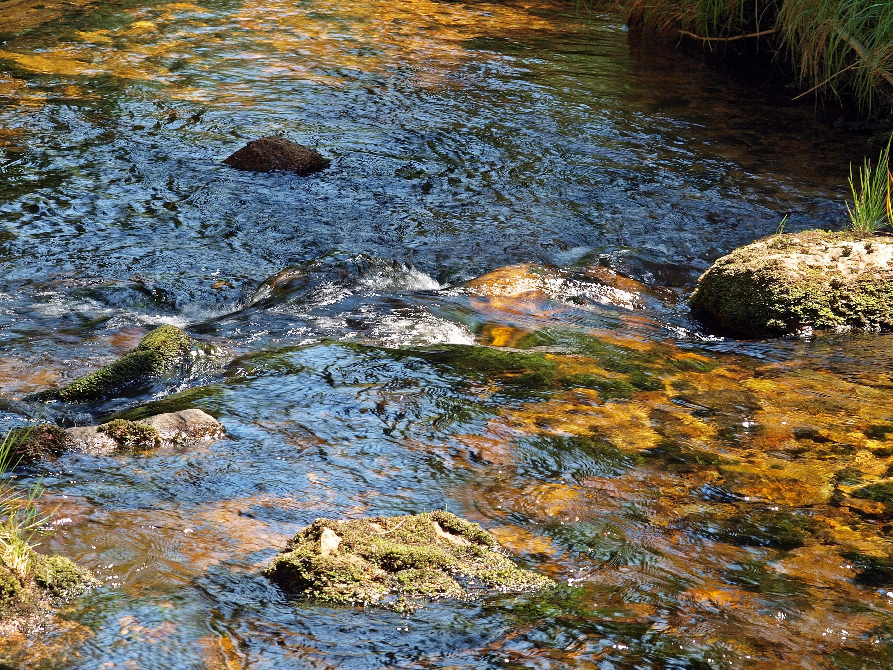 Вода ручей. Ручей прозрачная вода. Прозрачная вода в ручейке. Источник воды.