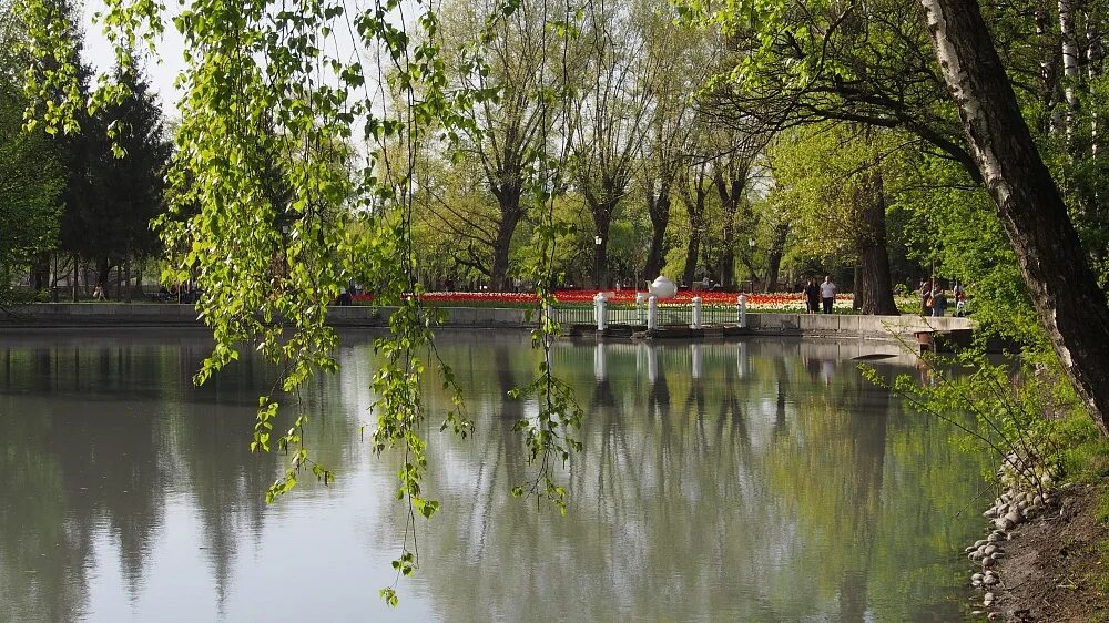 Обустройство пруда на даче. Пруд в беляево. Район коньково коньковские пруды. Декоративный пруд на даче. Фонтан вокруг пруда.