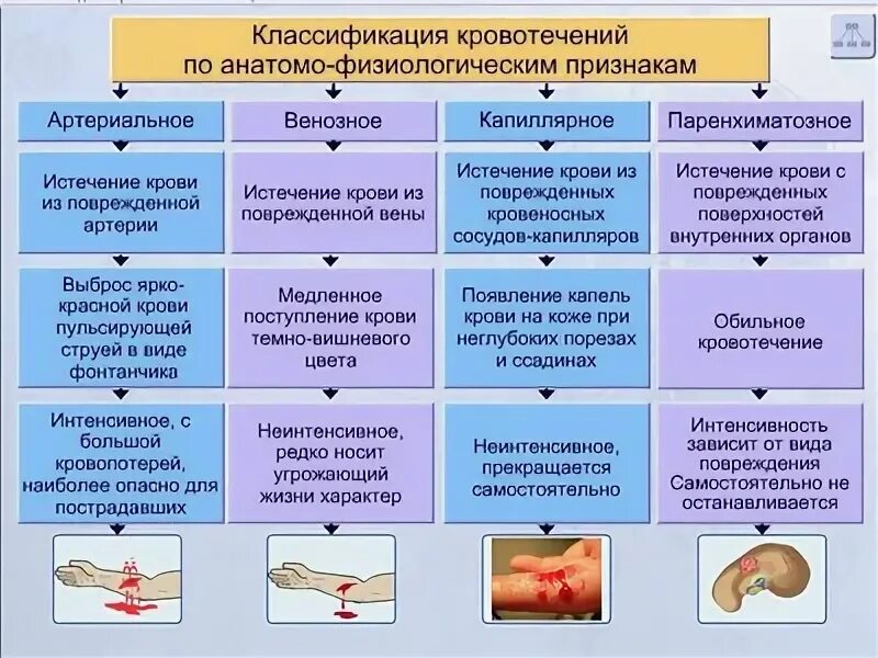 Кровотечение бывают следующих видов тест