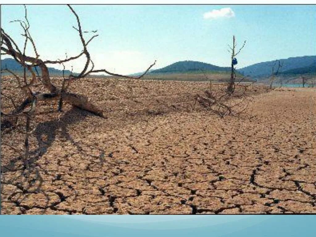 Вызывающая засуху. Опустынивание планеты. Засуха растений. Земля после засухи. Засуха в горах.