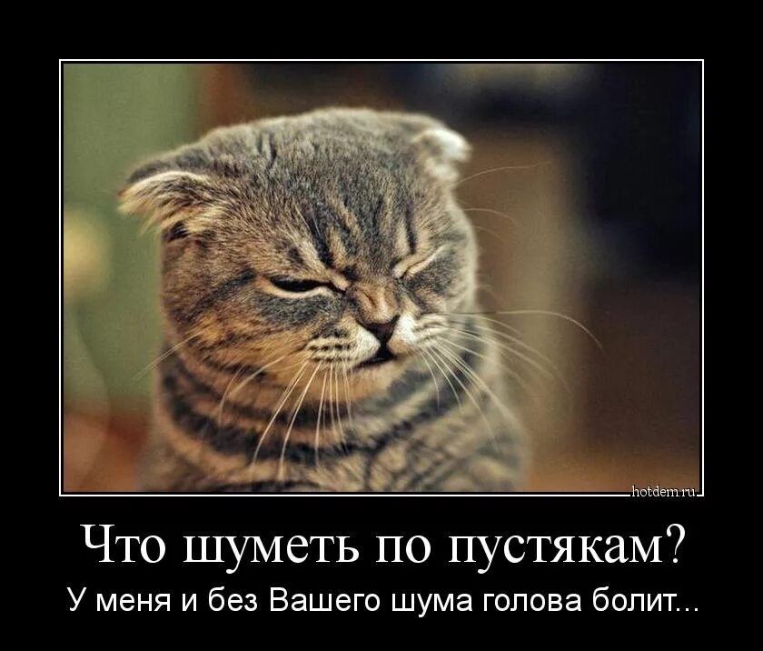 Москва что гудит сейчас. Москва что гудит сейчас. Москва что гудит сейчас. Воронеж прорыв канализации. Москва что гудит сейчас.