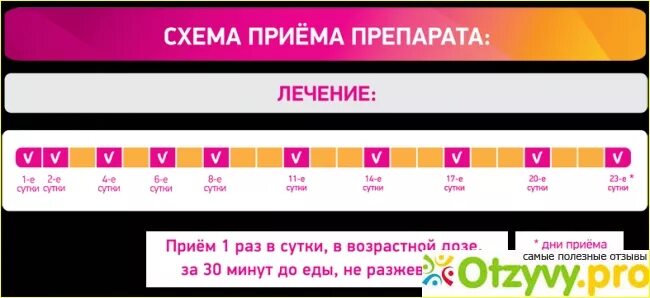 Схема уколов циклоферона. Циклоферон схема уколов. циклоферон схема уколов при герпесе. схема приема циклоферона. схема циклоферона.