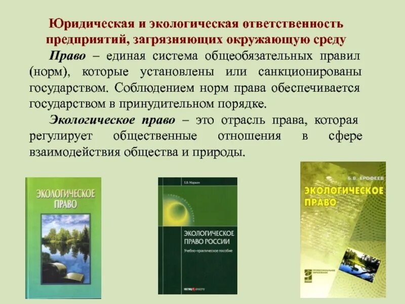 Экологическая ответственность предприятия. Юридическая ответственность в экологическом праве. Эколого-правовая ответственность. Экологические обязанности.