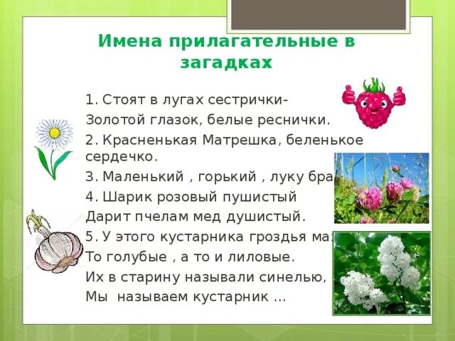 3 загадки с прилагательными с ответами. Загадки в именах прилагательных. Имя прилагательное в загадках. Имена прилагательные в загадках. Проект имена прилагательные в загадках.