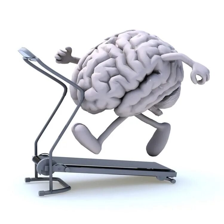 Технический мозг. Тренировка мозга. Тренажер для мозга. Работоспособность мозга.