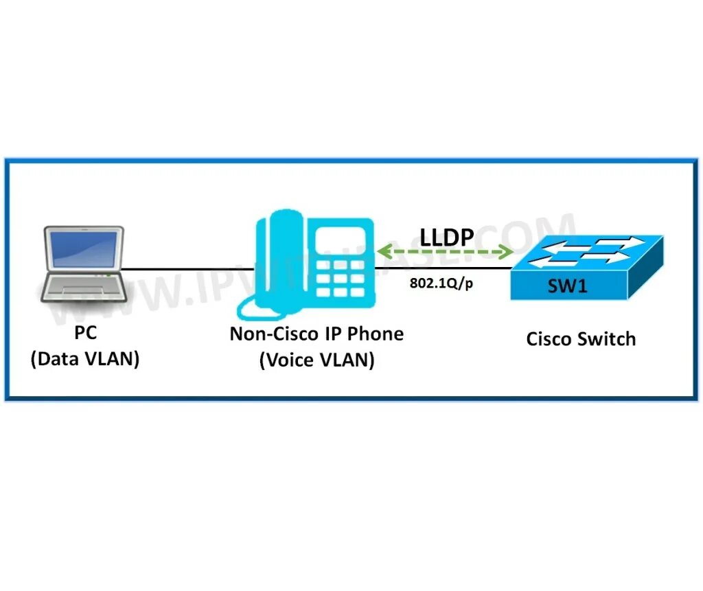 Cisco switching. Cisco switch vlan. voice vlan что это. тегирование голосовой vlan.. vlan in cisco.