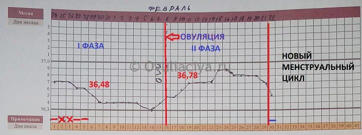 Температура второй фазы. Температура тела в первую и вторую фазу цикла. Разница температуры в первой и второй фазе. Температура тела во второй фазе цикла норма. Нормальная ректальная температура в два месяца.