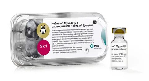 Вакцина вгбк инструкция по применению