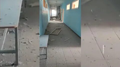 Что произошло в 5 гимназии