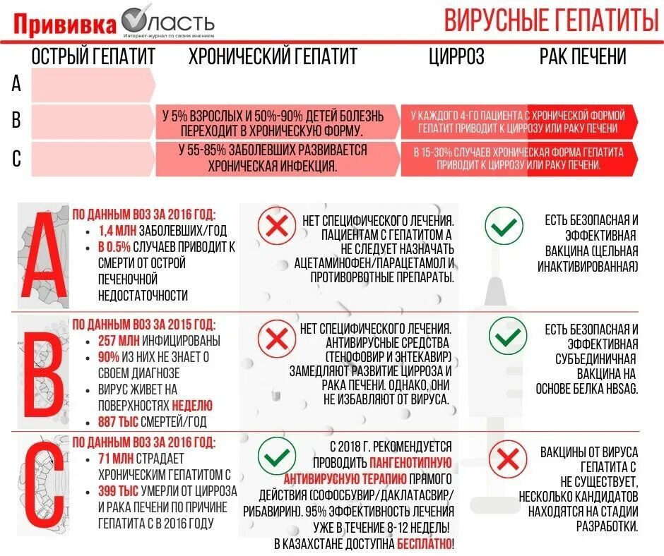 Заражение гепатитом б. Сколько живет вирус гепатита