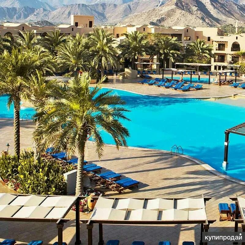 Мирамар фото. Miramar al aqah beach resort 5 оаэ фуджейра. Отель мирамар оаэ фуджейра. Фуджейра мирамар 5. Фуджейра мирамар 5.