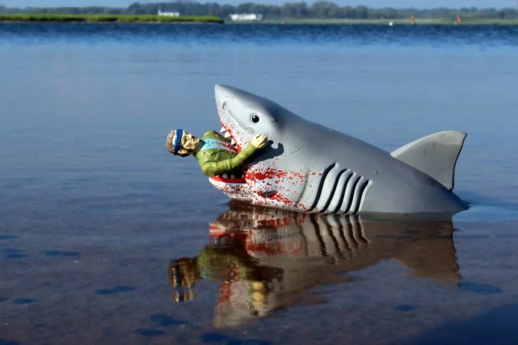 Что нибудь про акулу. Акула под водой. Синяя бездна фильм 2017. Документальные фильмы про акул. Что нибудь про акулу.