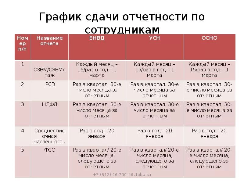 Сроки сдачи отчетности таблица. График сдачи отчетов. Отчетность ИП. Отчетность по ИП.