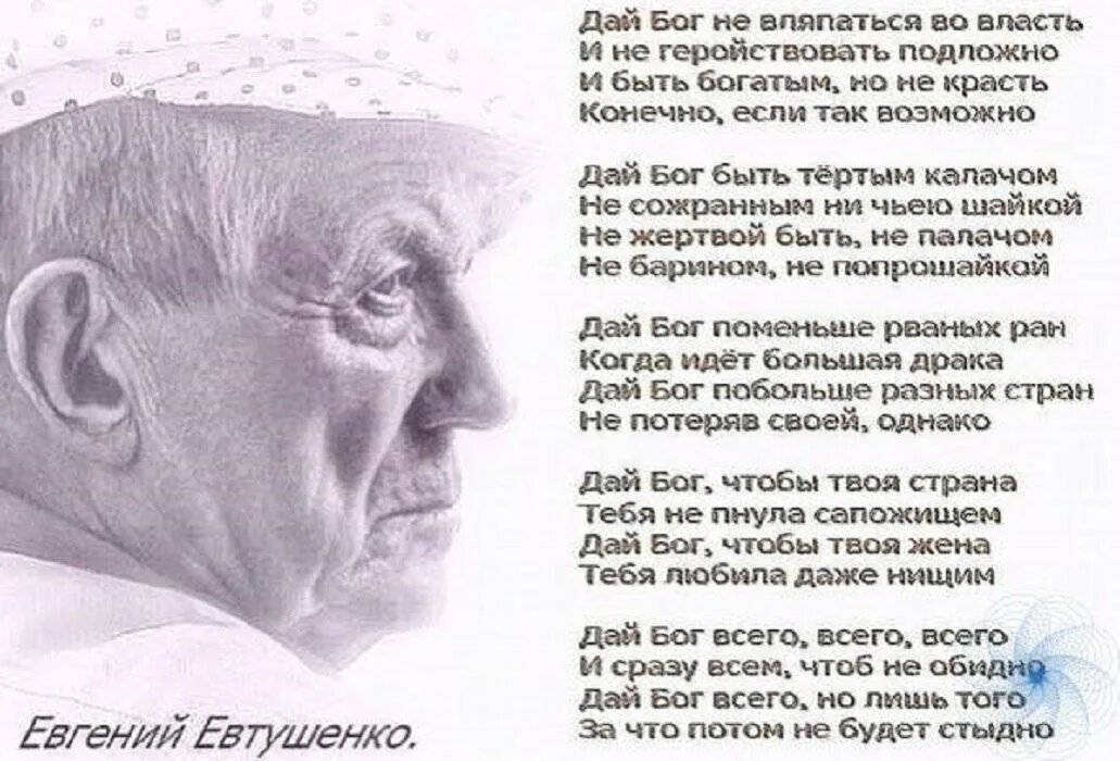 Стихотворение стыдно. Стихотворение евтушенко.