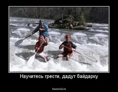 Обе доленный не гибаемый