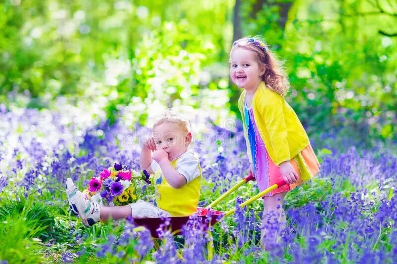 Kids in the garden. Kids in the garden. Family in the garden картинка для детей. Картинка мальчик в цветнике. Огород для детей.