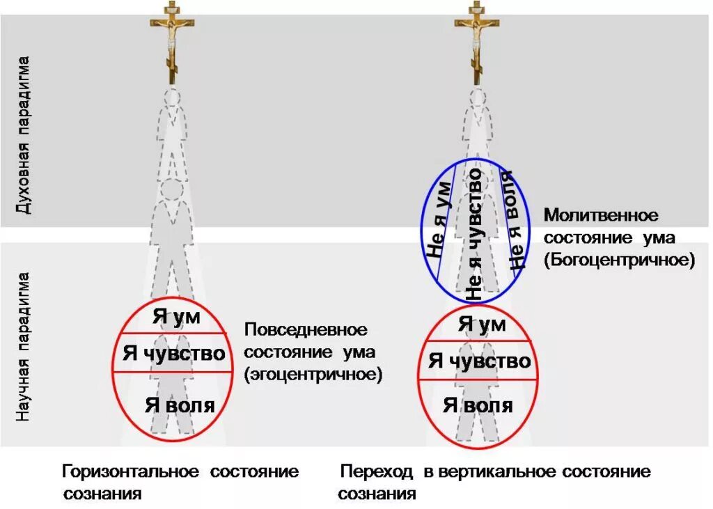 Чувство ум и воля