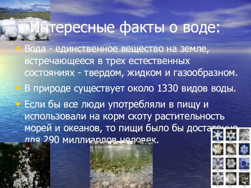 В каком городе много воды. Факты о воде. Самое интересное о воде. Самые интересные факты о воде. Необычные факты о воде.