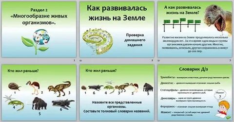 Объясните почему мир животных многообразен
