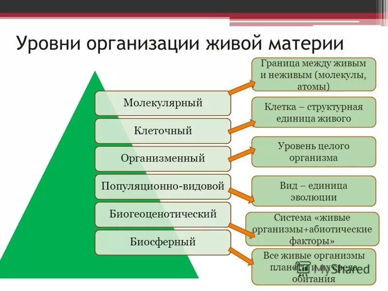 Миграция уровень организации