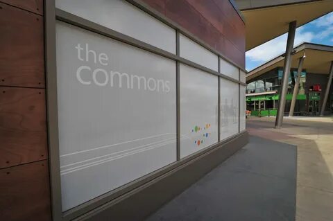 Microsoft common