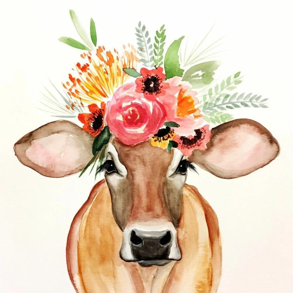 Голова коровки. Корова с венком на голове. Корова с цветком. Корова рисунок. Корова акварелью.