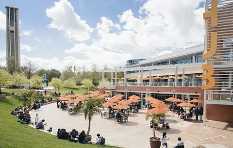Home university