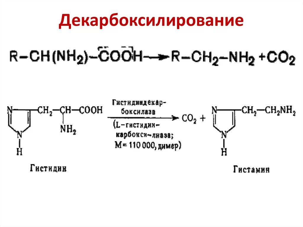 Декарбоксилирование аминокислот реакция. Реакция декарбоксилирования аминокислот. Декарбоксилирования аминокислоты тирозина. Декарбоксилирование фенилаланина реакция. Декарбоксилирование аминокислот схема.