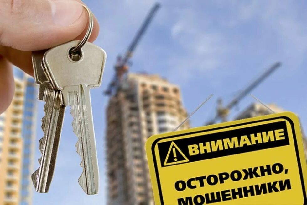 Предлагаем аренду квартир. Мошенничество с недвижимостью. мошенничество с квартирами. мошенничество с жильем. квартирные мошенники.