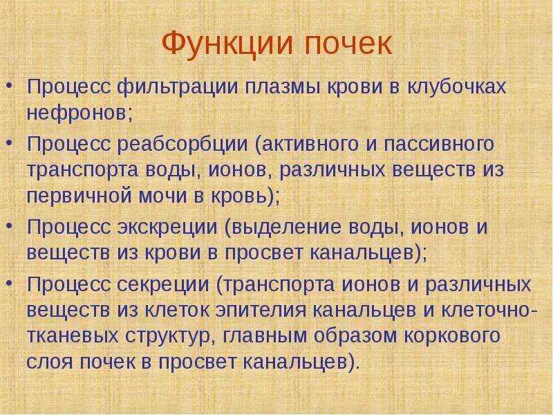 Функция почек анализы. Почки функции и процессы. Что фильтрует плазму крови в почках. Где в почке фильтруется плазма крови. В почках фильтруется моча кровь лимфа